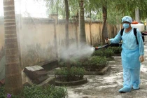 Hà Nội ghi nhận 336 trường hợp mắc sốt xuất huyết trong tuần qua