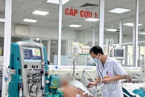 Bệnh liên cầu lợn dễ lây qua thực phẩm không đảm bảo, gây nguy hiểm tính mạng