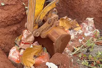 Tiêu hủy 520 kg thịt đông lạnh không đảm bảo an toàn 