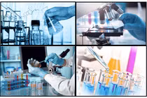 Xử phạt Công ty Chứng nhận và Kiểm nghiệm FAO 75 triệu đồng