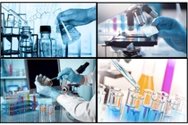 Công ty Chứng nhận và Kiểm nghiệm FAO bị xử phạt 75 triệu