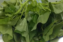 Khám phá công dụng của rau khoai lang đối với sức khỏe toàn diện