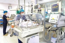 Mất con vì chọn sinh giờ đẹp