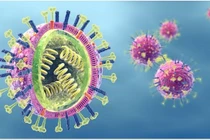 Cảnh báo sự xuất hiện của một biến thể virus tại Trung Quốc