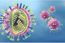 Cảnh báo sự xuất hiện của một biến thể virus tại Trung Quốc