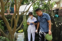 Hà Nội ghi nhận các ổ dịch sốt xuất huyết diễn biến phức tạp