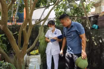 Hà Nội ghi nhận các ổ dịch sốt xuất huyết diễn biến phức tạp