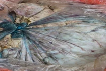 Sơn La phát hiện gần 1,4 tấn sản phẩm động vật "bẩn"