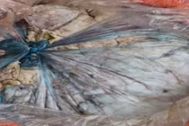 Sơn La phát hiện gần 1,4 tấn sản phẩm động vật "bẩn"