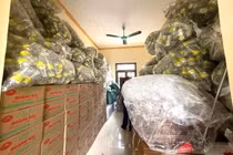 Số tang vật cơ quan công an thu giữ (Ảnh: Công an Ninh Bình)