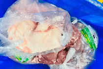 Thịt của Công ty Cường Phát được giao cho Trường Tiểu học Chu Văn An, phường Thanh Liệt, Hà Nội. Ảnh PV/Nguồn danviet.vn