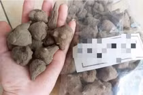 Người đàn ông Cao Bằng ngộ độc do ăn canh tự nấu từ củ ấu tàu