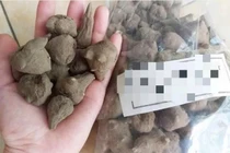 Người đàn ông Cao Bằng ngộ độc do ăn canh tự nấu từ củ ấu tàu