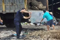 Quảng Ninh phát hiện 3.100 kg hàu không rõ xuất xứ