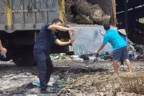 Quảng Ninh phát hiện 3.100 kg hàu không rõ xuất xứ