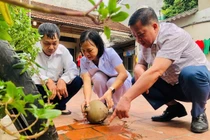 Hà Nội ghi nhận 432 ca sốt xuất huyết, giảm nhẹ so với tuần trước