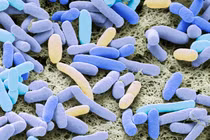 WHO cảnh báo tình trạng kháng thuốc toàn cầu gia tăng nhanh