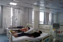 Vụ ngộ độc bánh mì ở Vũng Tàu: Vi khuẩn Salmonella là thủ phạm?