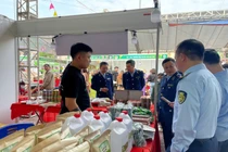 Chống ngộ độc thực phẩm dịp Tết Nguyên đán và lễ hội 2026