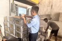 Thái Nguyên tiêu huỷ gần 1,2 tấn hoa quả không rõ nguồn gốc