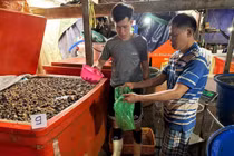 3.000 tấn thịt ốc ngâm hóa chất, hại sức khỏe thế nào?