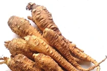Dược liệu Bạch chỉ tính ấm có công dụng giải cảm, tiêu viêm