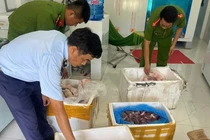 Phú Yên phát hiện, xử phạt hộ kinh doanh thực phẩm "bẩn"