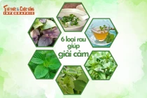 [INFOGRAPHIC] 6 loại rau giúp giải cảm
