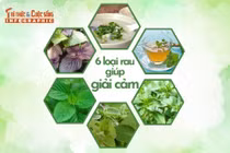 [INFOGRAPHIC] 6 loại rau giúp giải cảm