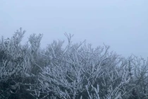 Không khí lạnh tăng cường ảnh hưởng đến Bắc Bộ từ chiều ngày 24/11