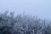 Không khí lạnh tăng cường ảnh hưởng đến Bắc Bộ từ chiều ngày 24/11