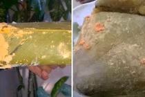 Nguy hiểm từ nấm mốc bánh chưng ngày Tết