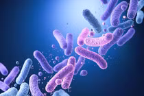 Độc tố trong sữa Aptamil First Infant Formula bị thu hồi nguy hiểm sao?