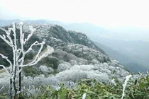 Dự báo thời tiết ngày 24/1: Vùng núi miền Bắc rét đậm, Trung Bộ có mưa