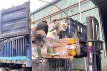 Tiêu hủy hơn 30 tấn thực phẩm đông lạnh bẩn ở Đồng Nai