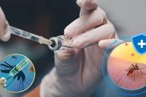 Tăng cường phòng, chống bệnh sốt xuất huyết