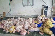 Hà Giang phát hiện trên 3,9 tấn thực phẩm đông lạnh bốc mùi 