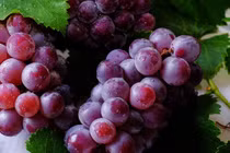 Vì sao nho được xem là 'siêu thực phẩm'