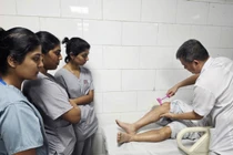 Độc tố ciguatera trong cá chình mà nhóm 10 du khách ăn phải nguy hiểm ra sao?