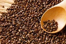 Lợi ích bất ngờ của hạt muồng trong y học dân gian