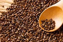 Lợi ích bất ngờ của hạt muồng trong y học dân gian