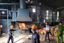 Phú Yên giám sát tiêu hủy lô hàng vi phạm trị giá hơn 2,5 tỷ