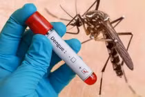 23.000 ca sốt xuất huyết, Bộ Y tế cảnh báo khẩn