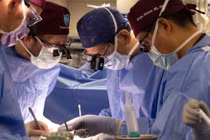 Mỹ thực hiện thành công cấy ghép thận lợn chỉnh sửa gen cho người