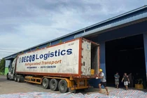 Tạm giữ 20 tấn nội tạng động vật bốc mùi trên một container