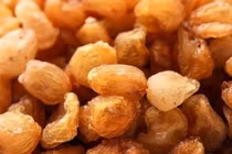 Long nhãn, vị thuốc quý trong y học cổ truyền