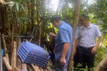 Hà Nội ghi nhận 100 ca sốt xuất huyết trong tuần qua