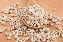 Thu hồi lô dược liệu ý dĩ không đạt tiêu chuẩn chất lượng