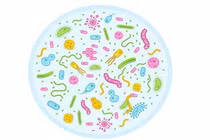 Cảnh báo dấu hiệu nhiễm trùng đường ruột ở trẻ nhỏ