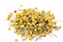 Thu hồi lô dược liệu Cúc hoa vàng của Hợp tác xã dược liệu Ninh Hiệp 